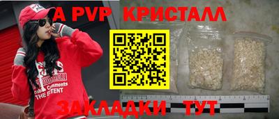 крисы Кунгур