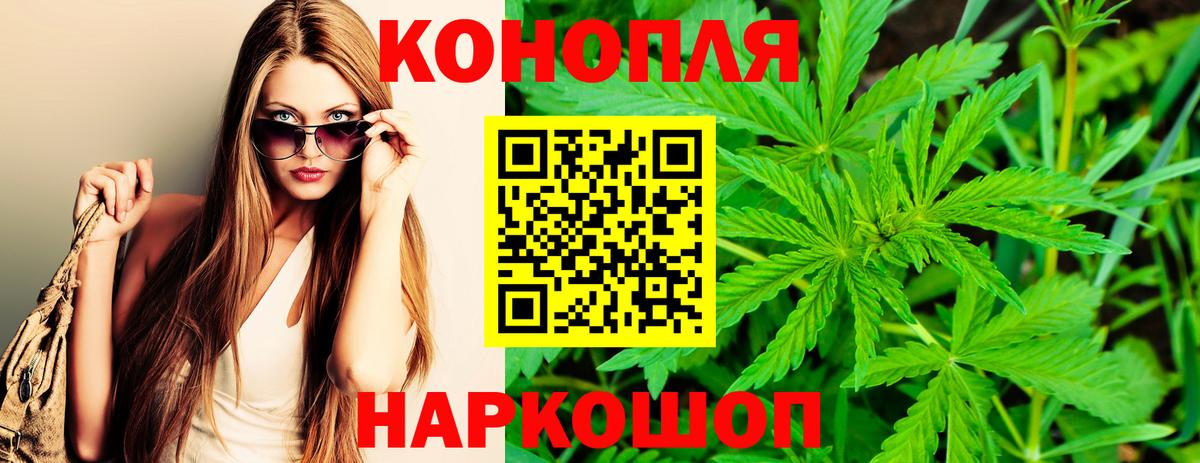 Бошки Шишки VHQ Урус-Мартан